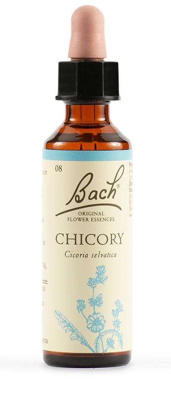 Chicory Bach Orig 20 ml