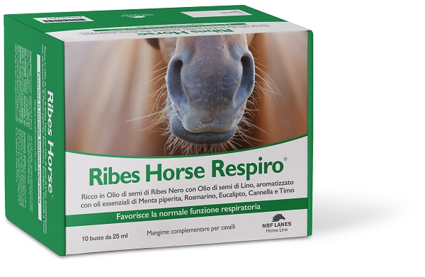 Ribes Horse Respiro 10BUST
