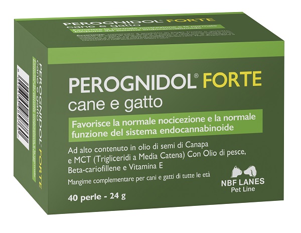 Perognidol Forte 40 Perle