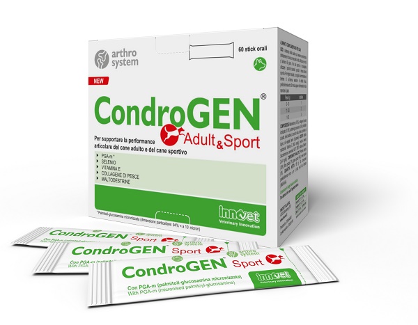 Condrogen Adult & Sport 60 Stick