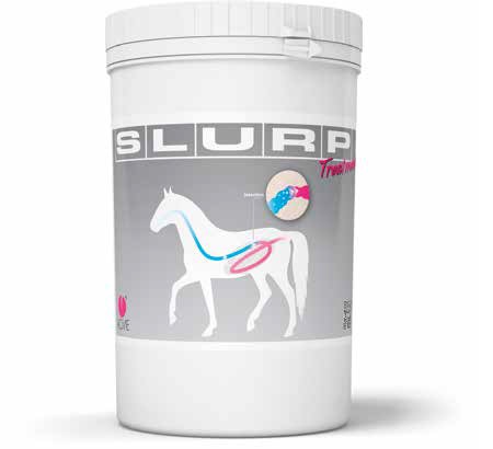 Slurp Treatment Polv 800 GR
