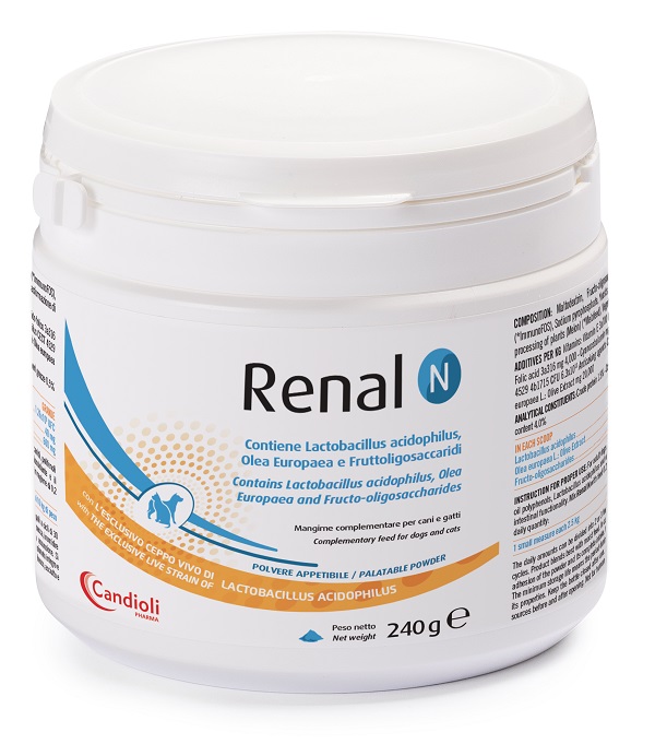 Renal N 240 GR