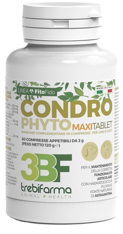 Condrophyto 60 CPR 2 GR