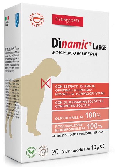 Dinamic Large 20 Bustine 10 GR