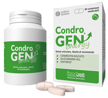 Condrogen Energy 90 compresse Mastic