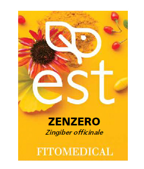 Zenzero Es 60 tavolette