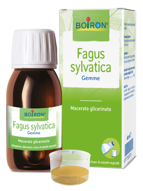 Fagus Sylvatica Boiron mg 60 ml