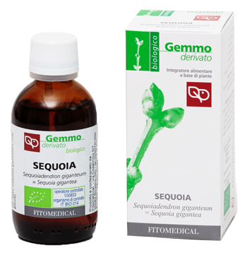 Sequoia mg 50 ml Bio