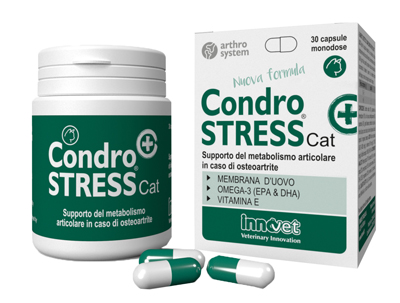 Condrostress + Cat 30 CPS NF