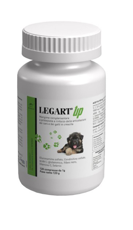 Legart Up 120 CPR 1 GR