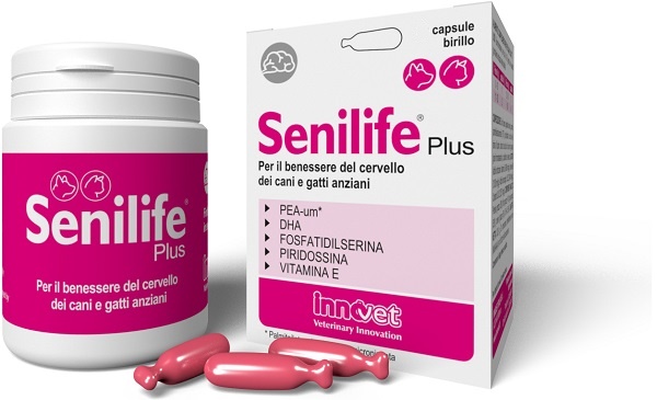 Senilife Plus 30 CPS
