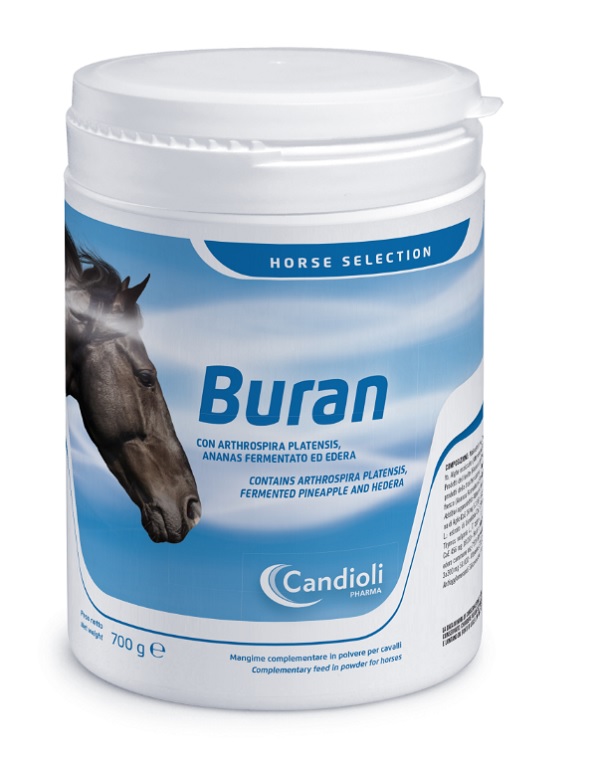 Buran 700 GR