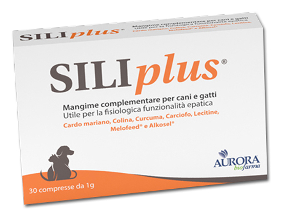 Siliplus 30 CPR 1 GR