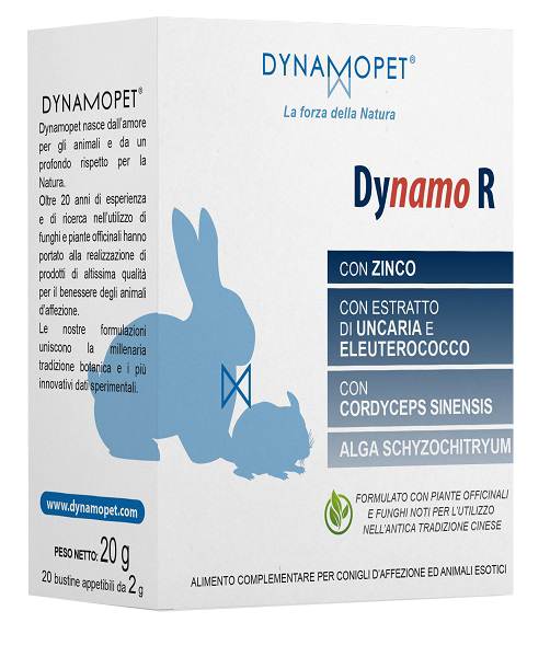 Dynamo R 20 Bust 2 GR