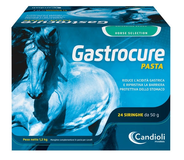 Gastrocure 24 Sir 50 GR