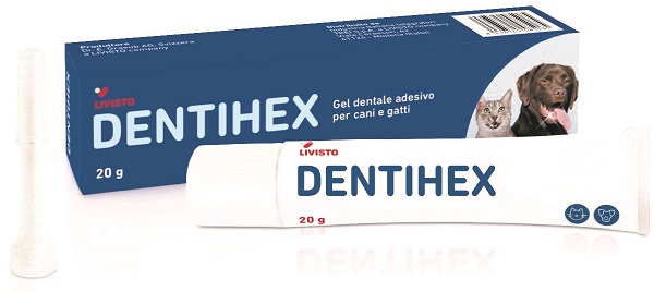 Dentihex Gel Dentale Ades C/G 20 GR